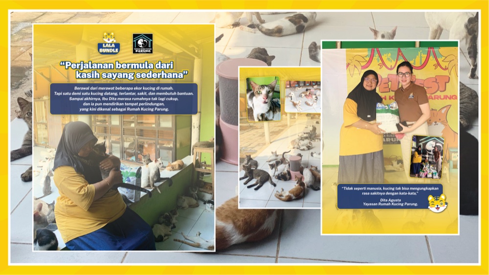 Lala Bundle x Yayasan Rumah Kucing Parung